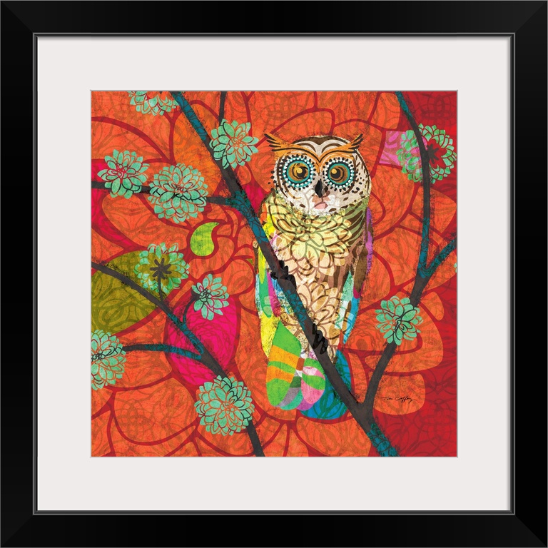 The popular owl is given a splashy contemporary treatment