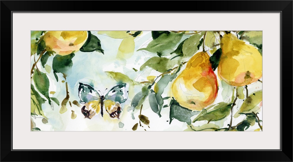 Rich and round apples are depicted in a soft watercolor treatment; just lovely.