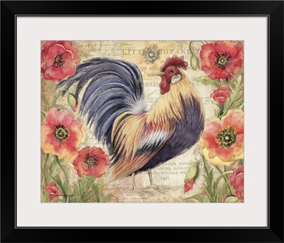 Poppy Rooster