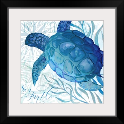 Sapphire Seas - Turtle