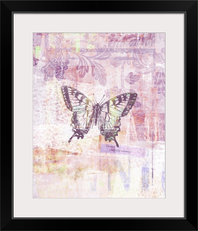 Butterflies are given a translucent, gauzy treatment in this lovely chromatic image.