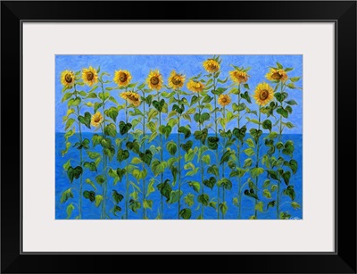 Sunflowers on Blue
