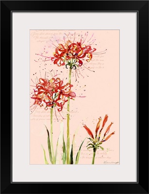 Watercolor Spider Lilies
