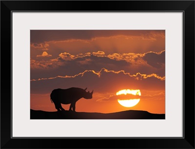 Africa, Kenya, Composite of white rhino silhouette and sunset