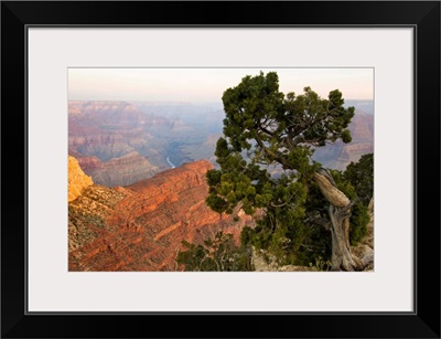 Arizona, Grand Canyon National Park, Grand Canyon at Dawn from Hopi Point