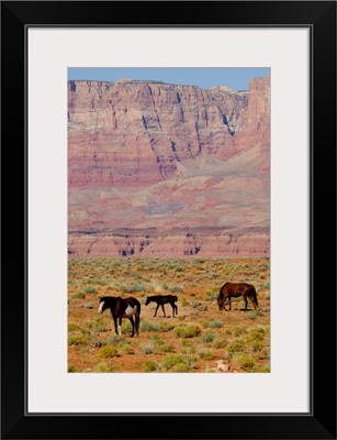 Arizona, Grand Canyon National Park, horses in front of famous red cliffs