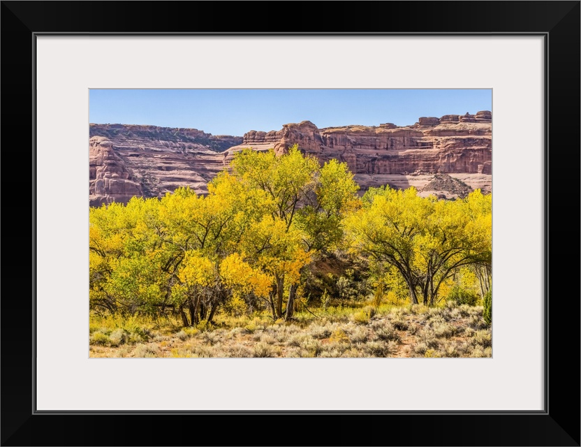 Autumn leaves, Arches National Park, Moab, Utah, USA.