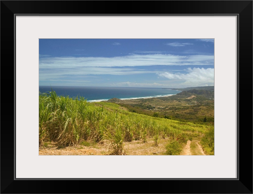 BARBADOS-North East Coast-Cherry Tree Hill:.The Vista from Cherry Treet Hill... Walter Bibikow 2004