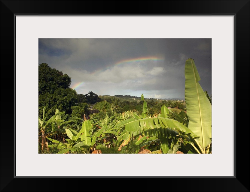 BARBADOS, St. Joseph Parish, Grey Clouds, Rainbow, Tropical Vegetation