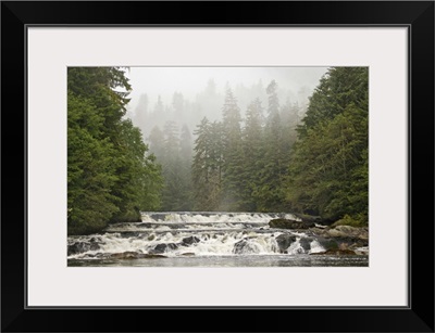 British Columbia, Princess Royal Island, Canoona River waterfalls next to misty forest