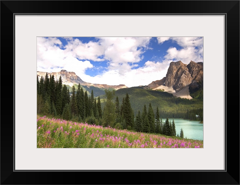 Canada, British Columbia, Yoho National Park. View of Emerald Lake and surrounding wilderness. Credit as: Don Paulson / Ja...