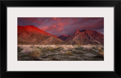 California, Anza-Borrego Desert State Park, Desert Landscape And Mountains At Sunrise