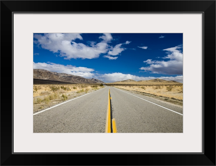 USA, California, Anza-Borrego Desert State Park. Rt. S-22.