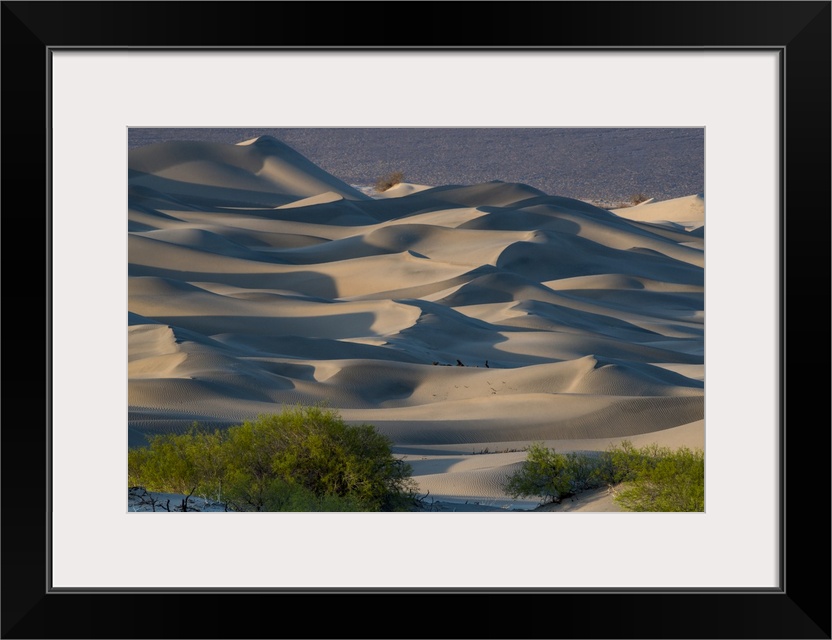 North America, USA, California, Death Valley National Park.  Sunset  shadow on sea of sand dunes, Mesquite  Dunes, Death V...