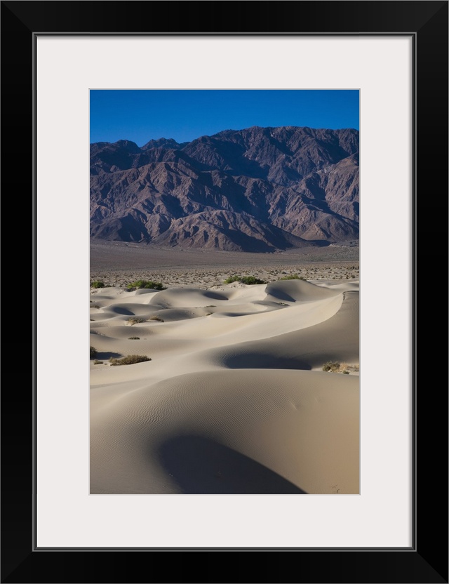 USA, California, Death Valley National Park, Mesquite Flat Sand Dunes, dawn