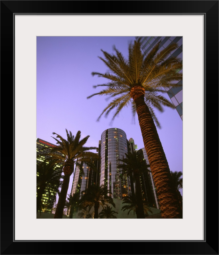 U.S.A., California, Los Angeles.Downtown area, palms and Bonaventure Hotel