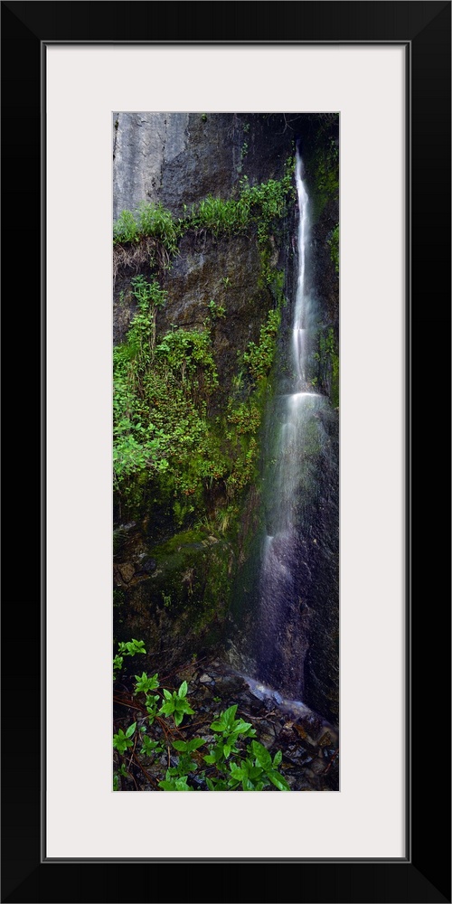 North America, United States, West, California, Sequoia National Park. Rare waterfall tumbles through Sequoia National Park.