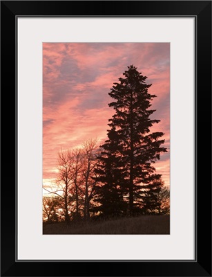 Canada, Alberta, Edmonton, Dramatic Sunrise from Forest Heights Park