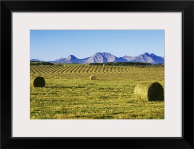 Canada, Alberta, Pincher Creek, Hay Harvest