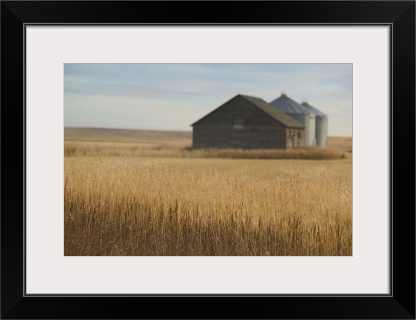 Canada, Alberta, Rosebud, Grain Barn, Wheat Farm