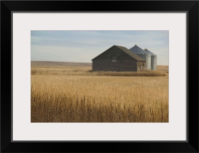 Canada, Alberta, Rosebud, Grain Barn, Wheat Farm