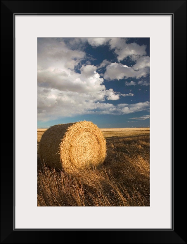 Canada, Alberta, Stand Off, Landscape with Dramatic Sky and Hay Roll