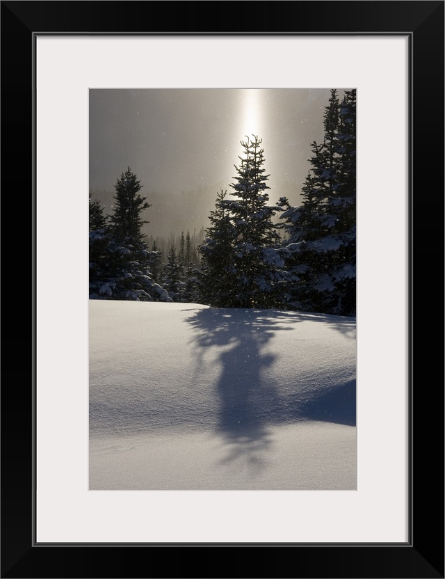 Canada, British Columbia, Smithers. A sun pillar of falling ice crystals and snow-laden spruce trees. Credit as: Bill Youn...