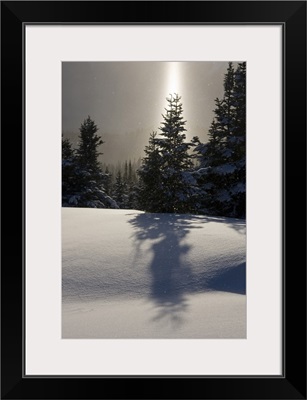 Canada, British Columbia, A sun pillar of falling ice crystals and spruce trees