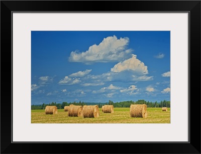 Canada, Ontario, New Liskeard, Hay Bales In Farm Field