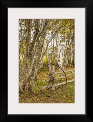 Canada, Prince Edward Island, Orwell, Wagon Wheel And Birch Trees