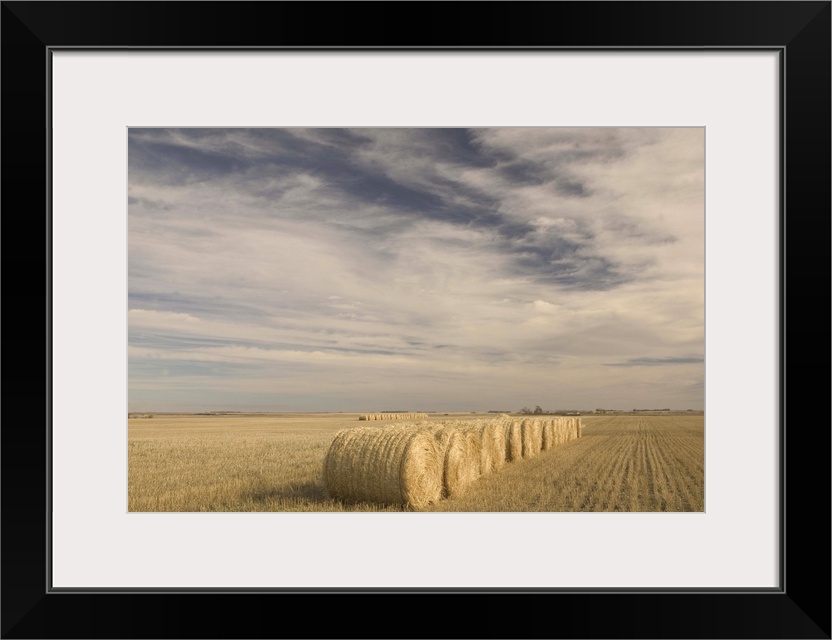 Canada, Saskatchewan, Craik, Hayrolls, Autumn and Prairie Landscape