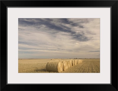 Canada, Saskatchewan, Craik, Hayrolls, Autumn and Prairie Landscape