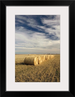 Canada, Saskatchewan, Craik, Hayrolls, Autumn and Prairie Landscape