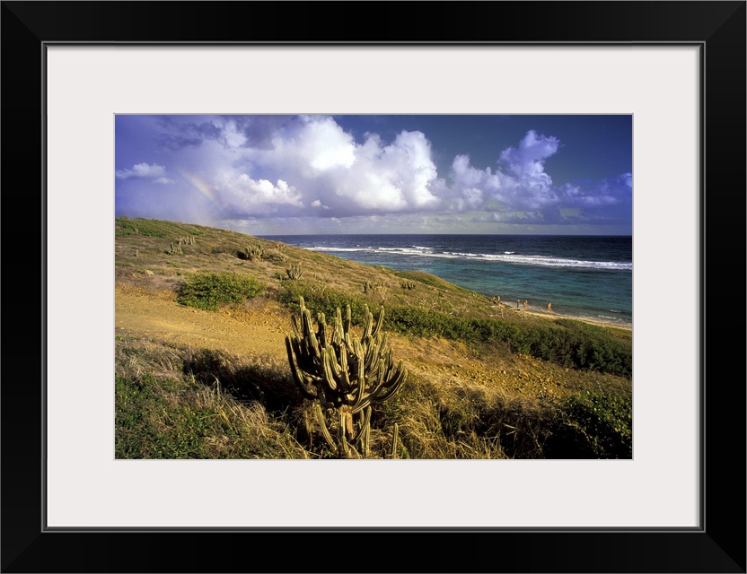 Caribbean, US Virgin Islands, St. Croix, Point Udall. Point seascape with rainbow