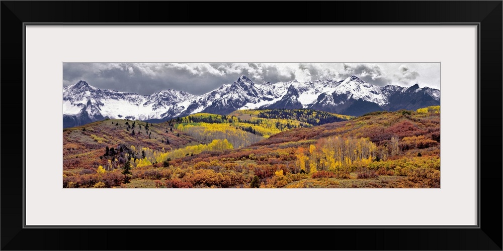 USA, Colorado, San Juan Mountains. Autumn turns aspen leaves orange and gold at Dallas Divide in the San Juan Mountains in...