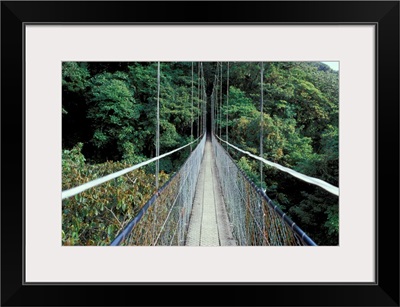Costa Rica, Monteverde Cloud Forest, Suspension Bridge along Sky Walk