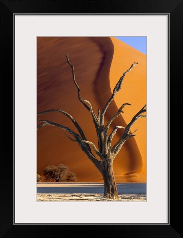 Namibia, Sossusvlei, Namib-Naukluft National Park. Composite of dead tree and sand dune.