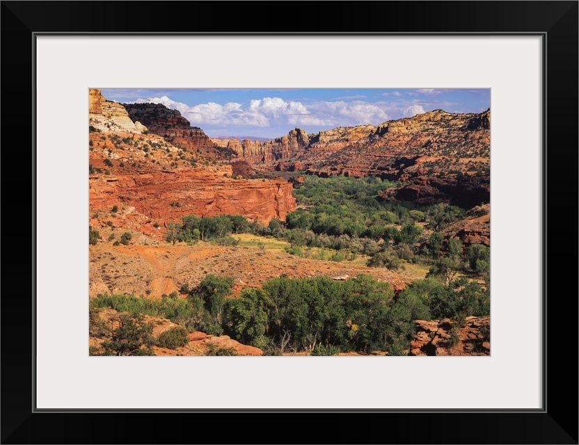 Escalante River overlook, Grand Staircase-Escalante National Monument, Utah