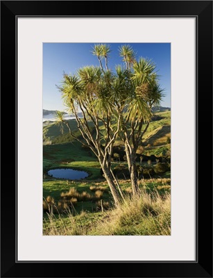 Farmland near Martinborough, Wairarapa, North Island, New Zealand