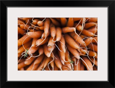 France, Moselle, Lorraine Region, Metz, Covered Market, Carrots