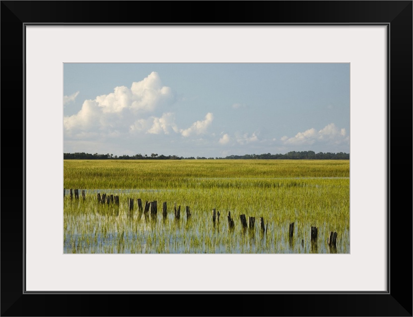 USA, Georgia, Savannah, Tidal marsh with pilings.