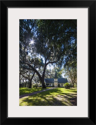 Georgia, St. Simons Island, Frederica, Christ Church and live oak trees