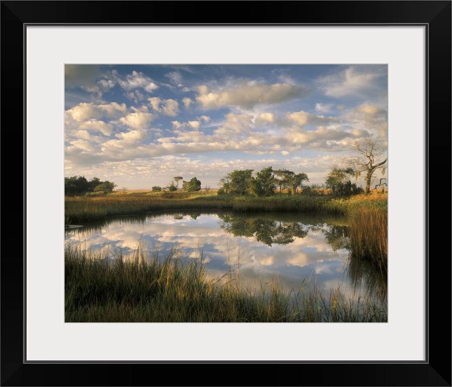 Georgia Tybee Island, Reflections of clouds on salt water pond at Chimney Creek in morning light.