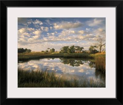 Georgia Tybee Island, Reflections of clouds on salt water pond