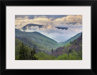 Great Smoky Mountains National Park, North Carolina