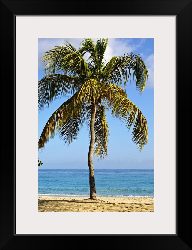 Grenada. Grand Anse Beach Grenada.