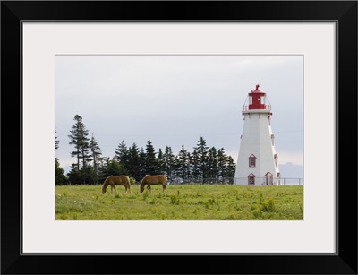 Horse Pasture and Panmure Head Lighthouse, Prince Edward Island, Canada