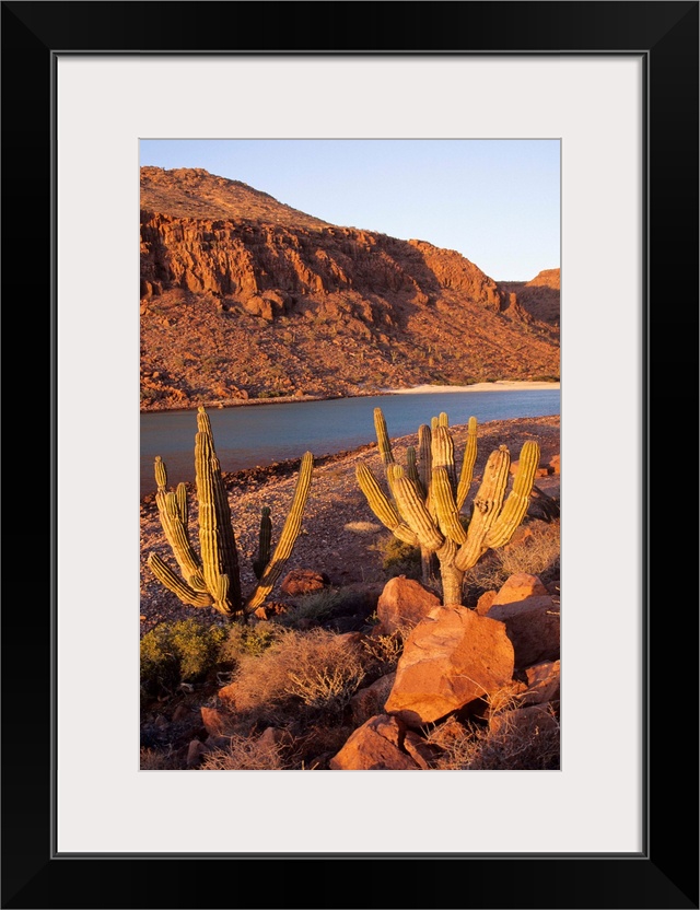 Isla Espirito Santos, Baja California, Mexico.