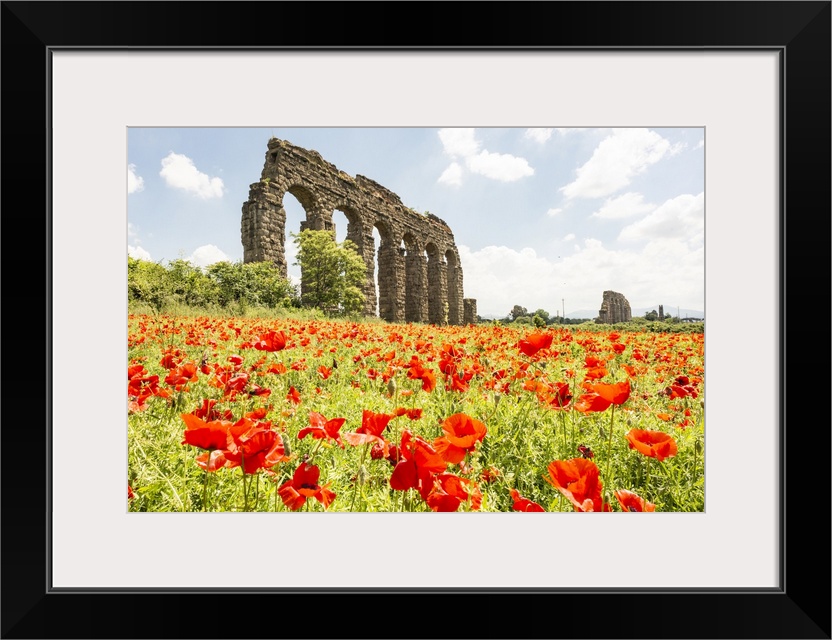 Italy, Rome, Parco Regionale Dell'appia, Antica, Park Of The Aqueducts
