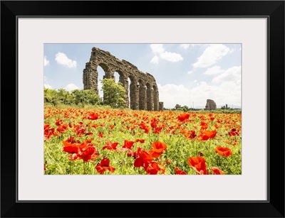 Italy, Rome, Parco Regionale Dell'appia, Antica, Park Of The Aqueducts